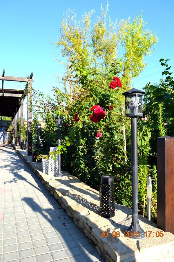 Resedinta Rotundu Bed & Breakfast Butuceny Ngoại thất bức ảnh