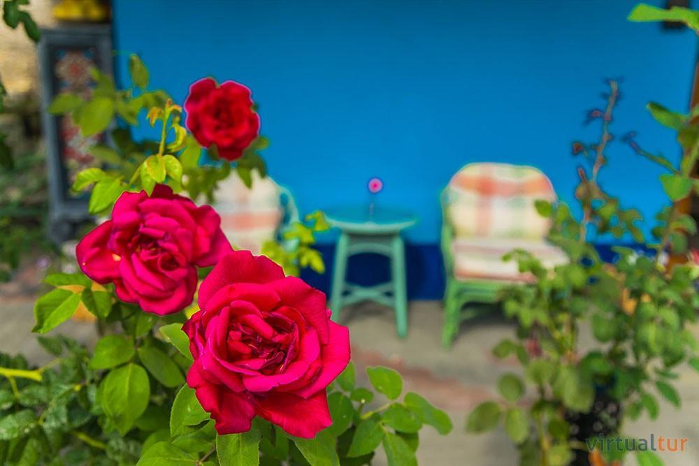 Resedinta Rotundu Bed & Breakfast Butuceny Ngoại thất bức ảnh